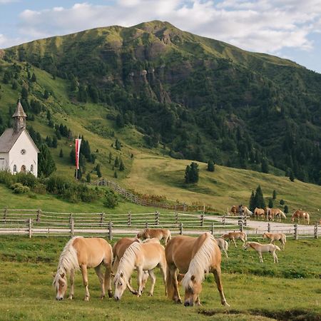 Zallinger Dolomites Alpe Di Siusi Exteriér fotografie