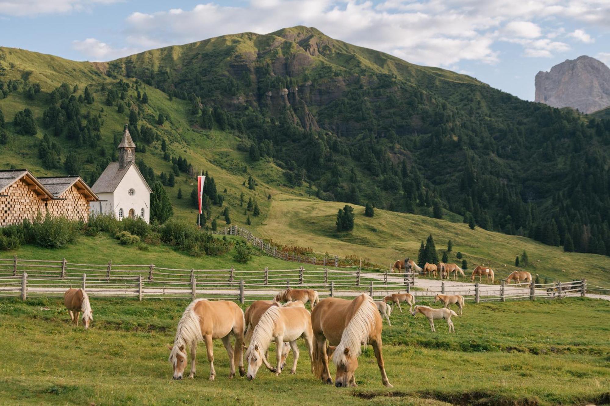 Zallinger Dolomites Alpe Di Siusi Exteriér fotografie